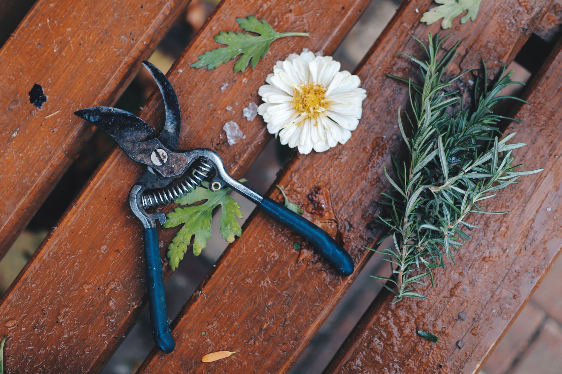 Tools for the Weekend Gardener